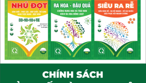 CHÍNH SÁCH SẢN XUẤT GIA CÔNG PHÂN BÓN LÁ NĂM 2025