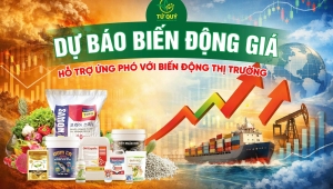 Dự báo giá phân bón sắp biến động – Khuyến nghị mới từ Phân Bón Tứ Quý