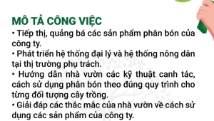 TUYỂN DỤNG NHÂN VIÊN KINH DOANH