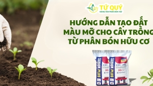 Hướng Dẫn Tạo Đất Màu Mỡ Cho Cây Trồng Từ Phân Bón Hữu Cơ