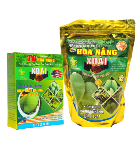 Hoa Nắng Xoài 