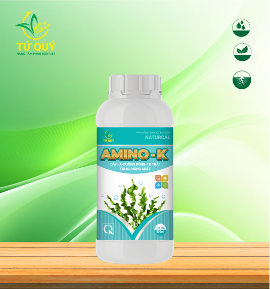 AMINO-K Chai 500ml