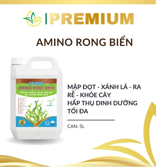 Demeter Amino Rong Biển