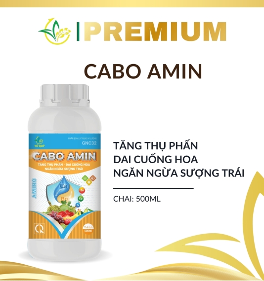 Cabo Amin/ Canxi Bo Chai 500 ml