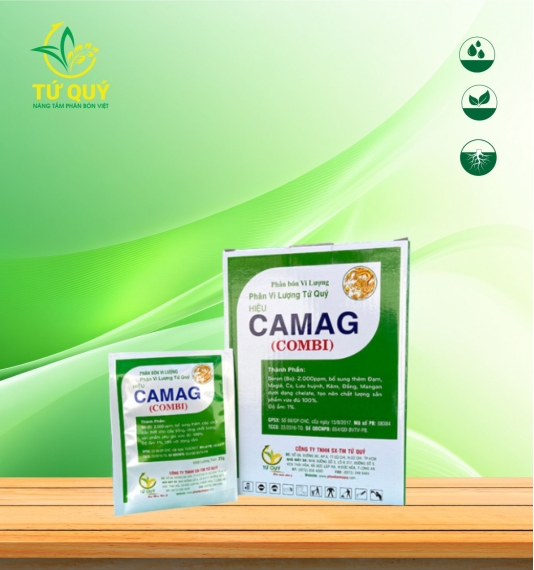 CAMAG (COMBI)