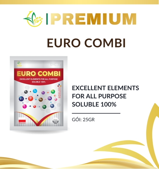 Euro combi