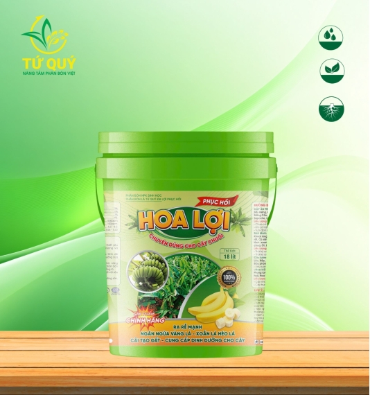 Hoa Lợi Chuối