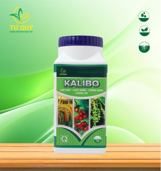 Kali - Bo hũ 1 kg