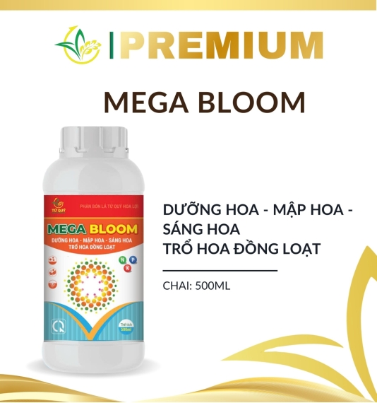 Mega Bloom