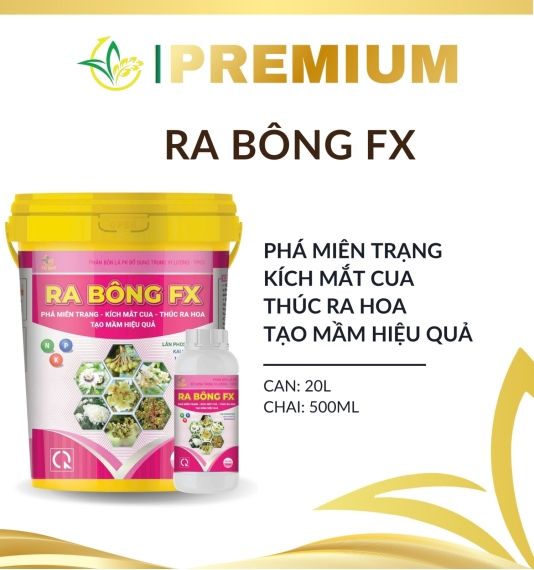 Ra Bông FX 