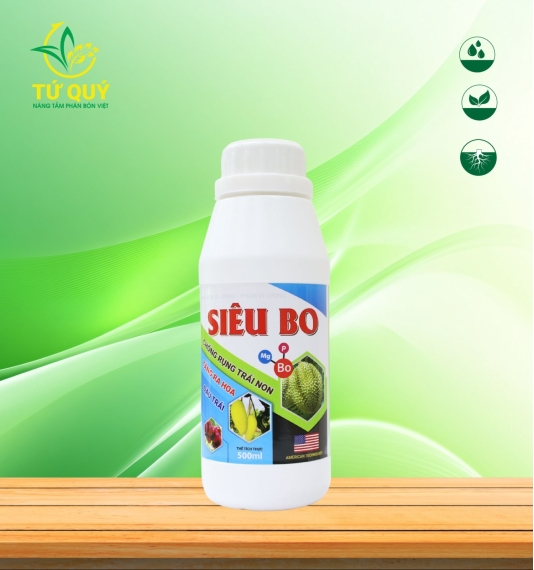 Siêu Bo