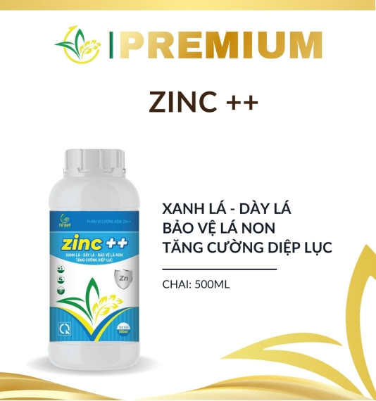 Zinc++