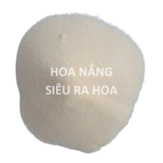 Hoa Nắng (Siêu ra hoa)