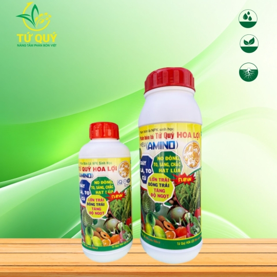 AMINO (ACID AMIN)