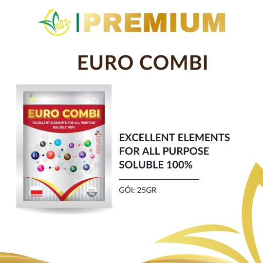 Euro combi