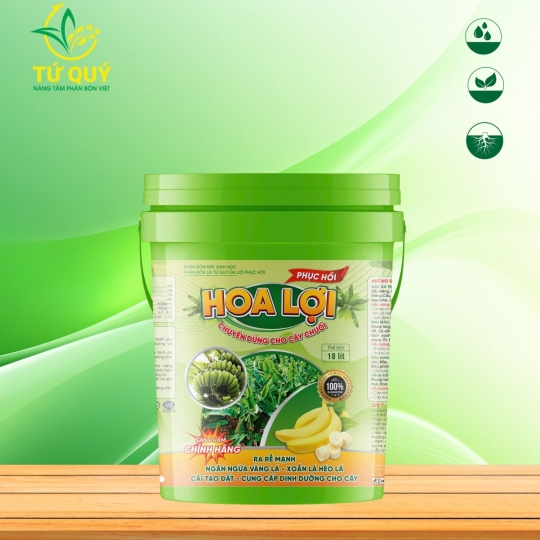 Hoa Lợi Chuối