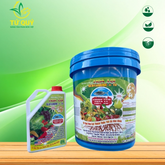 Hoa Lợi Protein (GLUTAMINE)