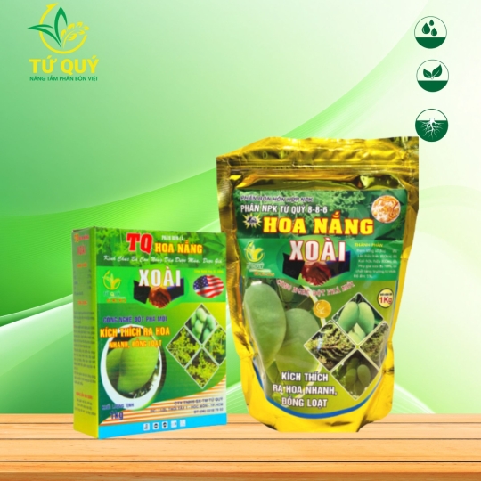 Hoa Nắng Xoài 