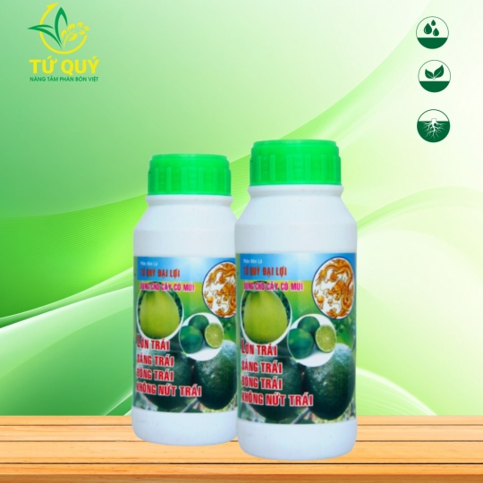 Lớn Trái (Cây Có Múi)