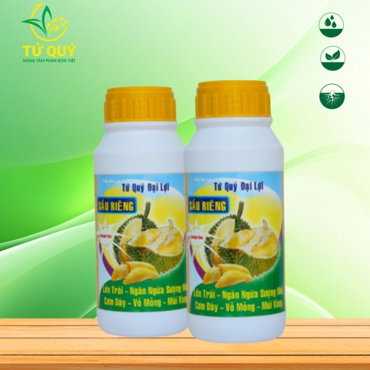Lớn Trái (Sầu Riêng)