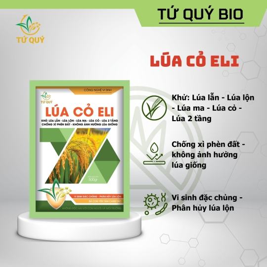 Lúa Cỏ Eli