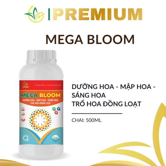 Mega Bloom