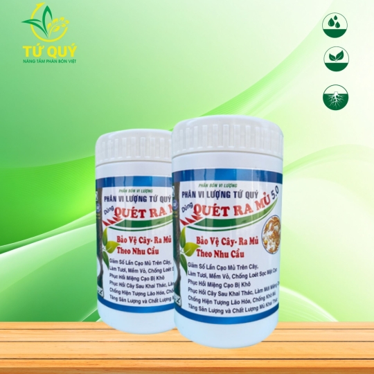 Quét Ra Mủ 5.0