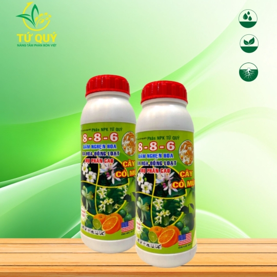 Ra Hoa 8-8-6