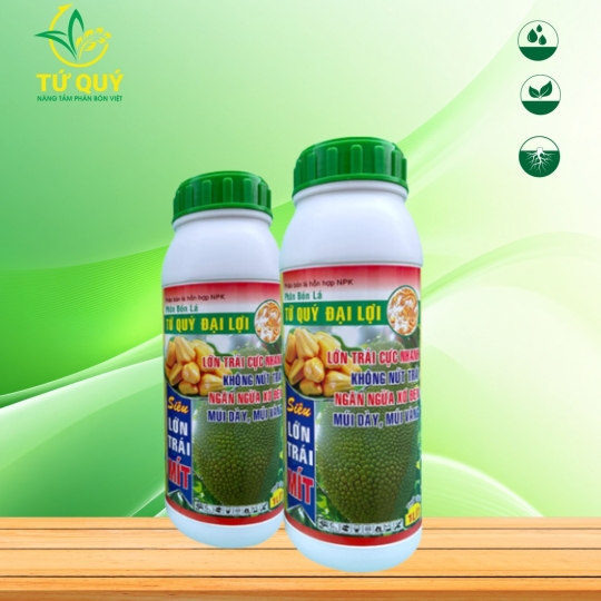 Siêu Lớn Trái (MÍT)