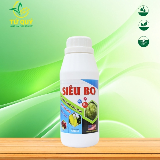 Siêu Bo