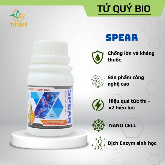 Dịch Enzym Sinh Học - Spear