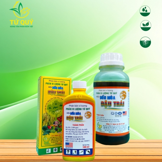 Đậu Trái Bốn Mùa