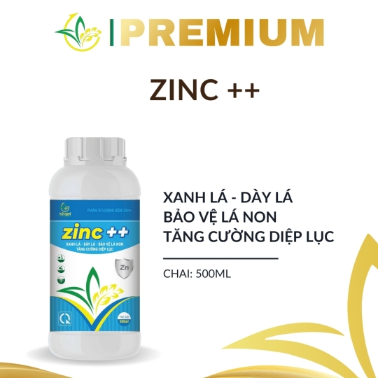 Zinc++